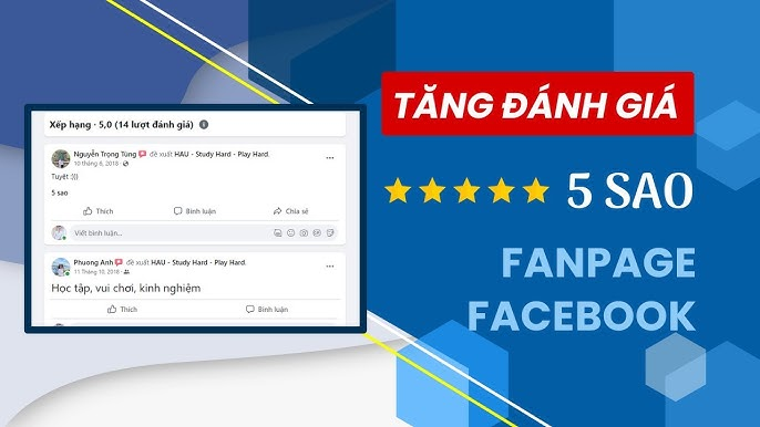 Đánh Giá Fanpage Trên Facebook: Tiêu chí, Lợi Ích, Hướng Dẫn A-Z Để Tối Ưu Hiệu Quả 